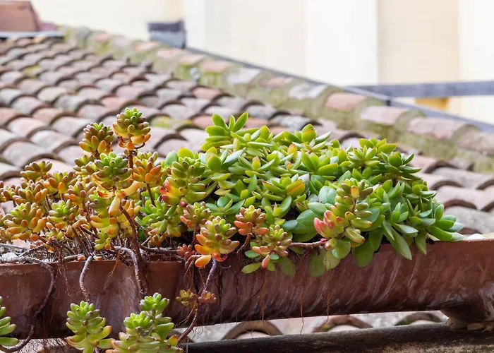 Bed and Breakfast & Breakfast Canalino 21 Μόντενα