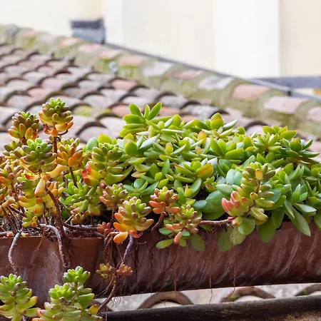 ベッド・アンド・ブレックファスト & Breakfast Canalino 21 モデナ