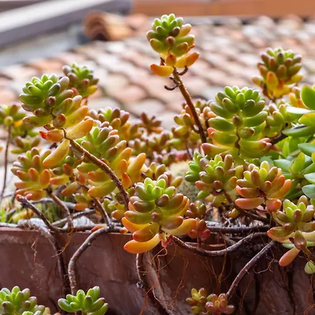 & Breakfast Canalino 21 *