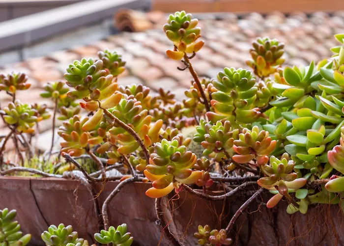 & Breakfast Canalino 21 *